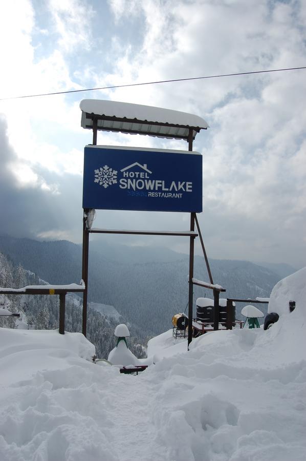 Hotel Snowflake Narkanda Exterior foto